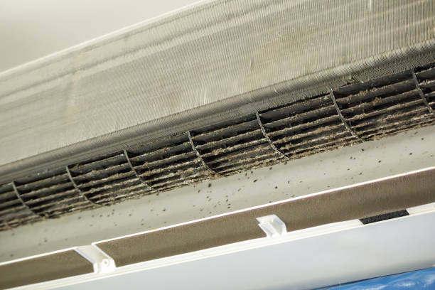 Best HVAC Air Duct Cleaning  in Buna, TX